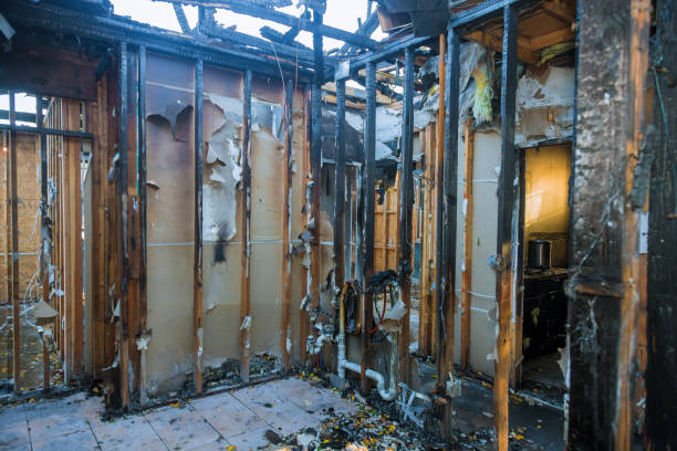 Professional Fire Damage Removal technician working in Waldron, AR